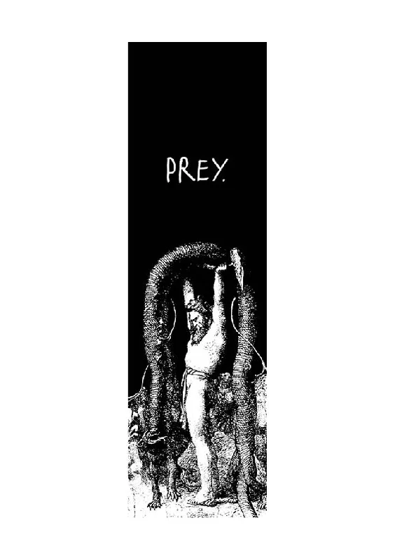 Professional Skateboard Grip Tape-Prey Tor Griptape