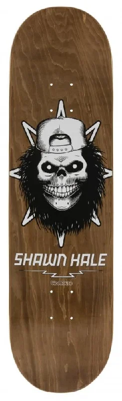 Skateboard Deck for Multi-skills Riders-Birdhouse Pro Hale Skull Skateboard Deck - 8.5"