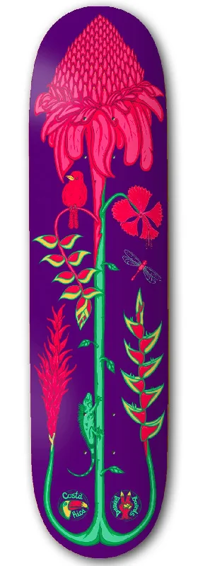 Skateboard Deck for Cruise Rides-Drawing Boards Costa Rica Torch Ginger Skateboard Deck - 8.5"