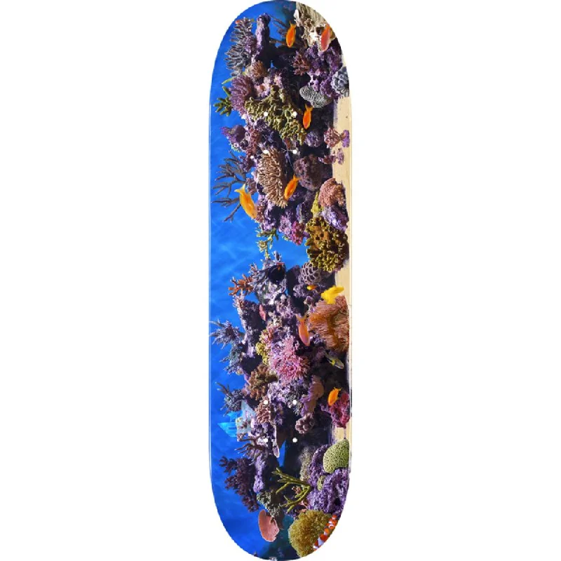 High-performance Skateboard Deck-Mini Logo Fish Tank 7.5" Skateboard Deck